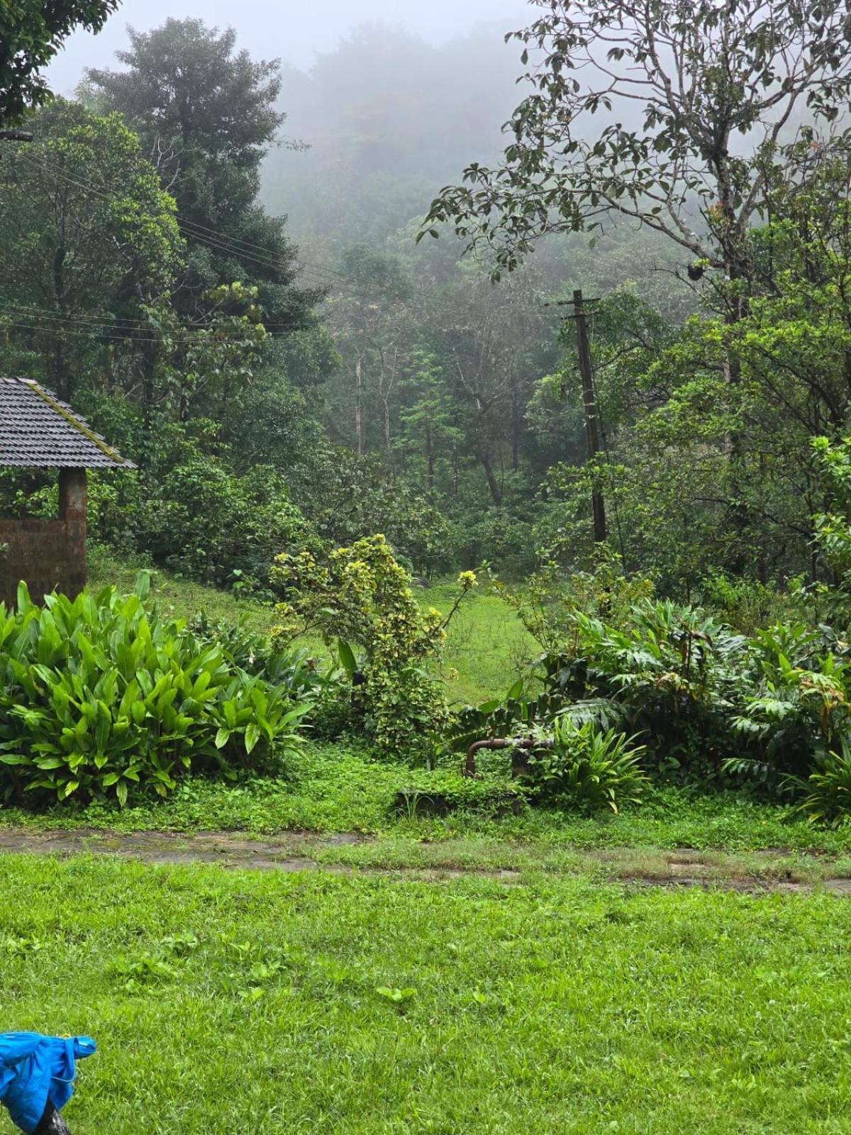 Highland Estate Hotel Sakleshpur Luaran gambar