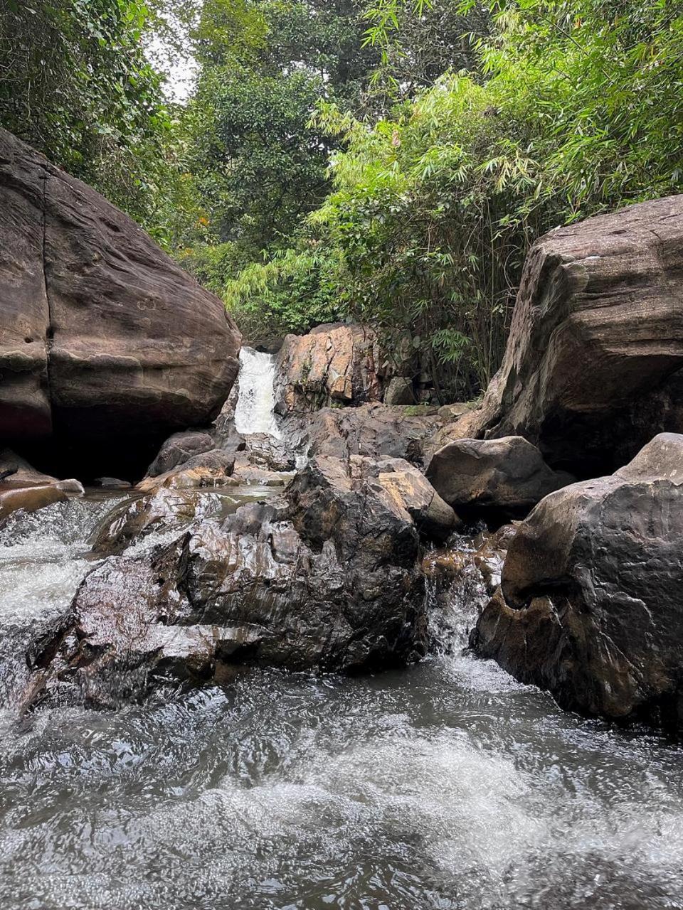 Highland Estate Hotel Sakleshpur Luaran gambar